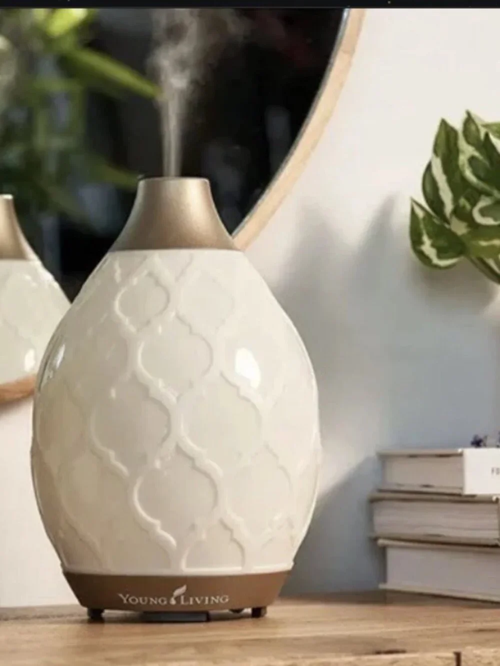 Young Living Desert Mist Ultrasonic Diffuser + Essential Oils NIB Sealed